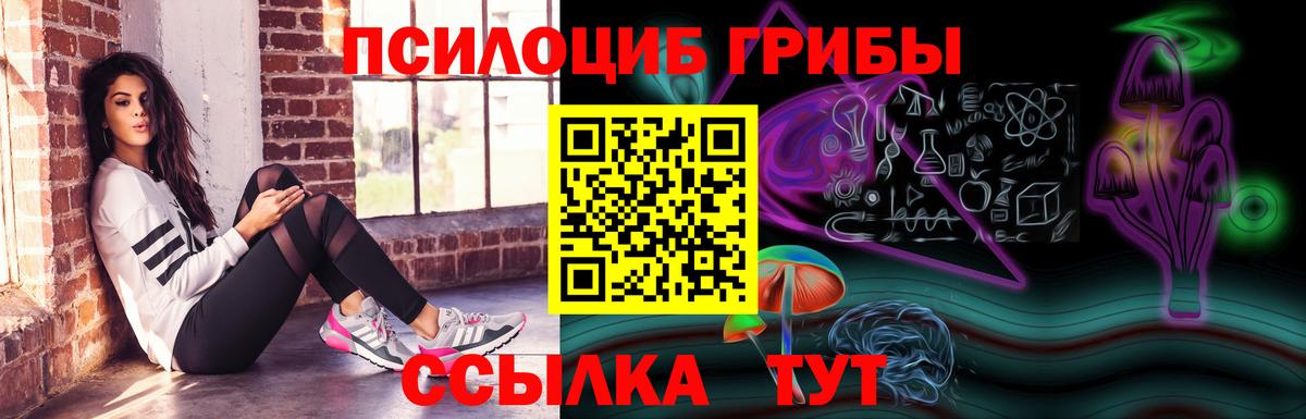 цена наркотик  Псилоцибиновые грибы MAGIC MUSHROOMS  Вход с VPN  Вышний Волочёк 